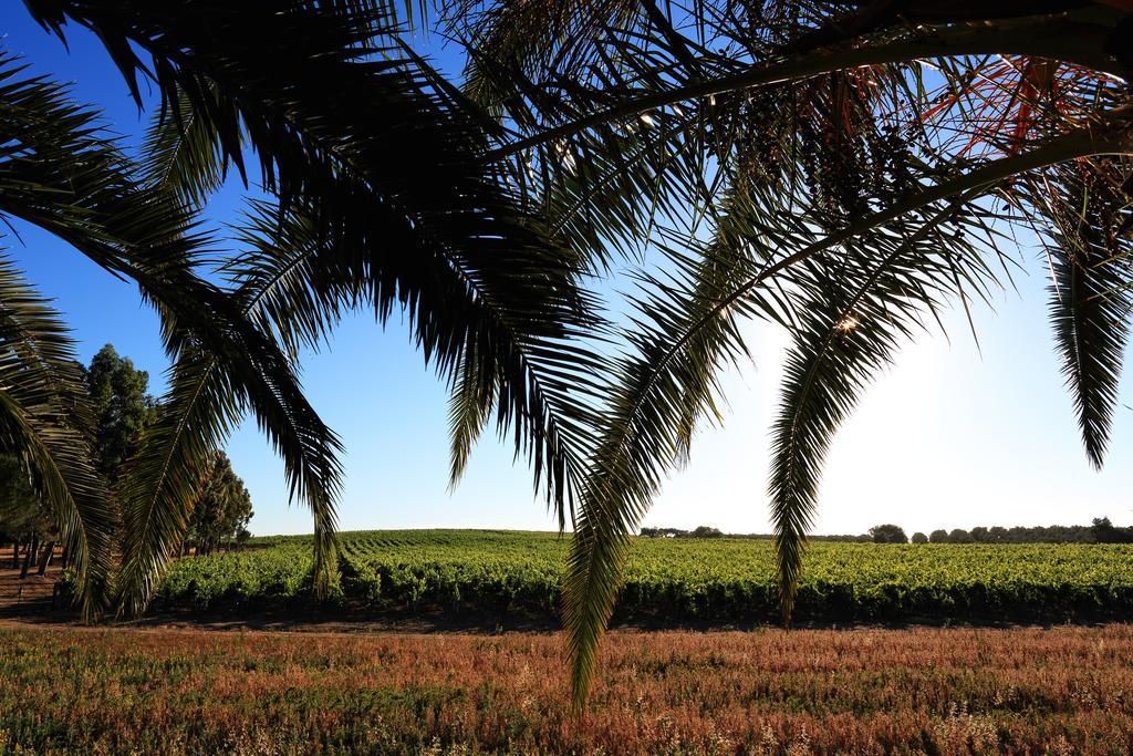 Herdade Da Calada Azaruja Ngoại thất bức ảnh